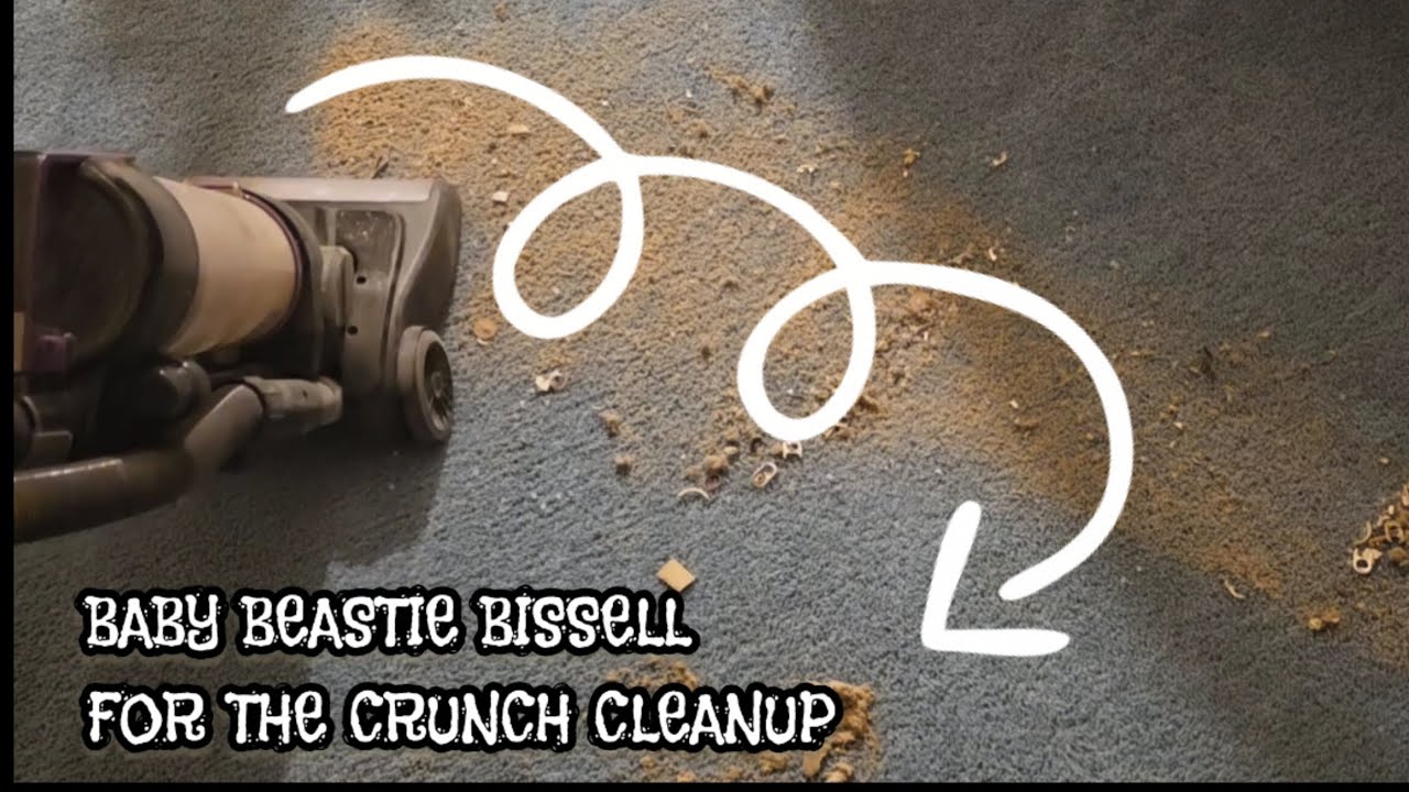Bissell Crunch Cleanup & Soothing Shark Sounds w/Fine Dirt | Sifting | ASMR | Anxiety Relief 