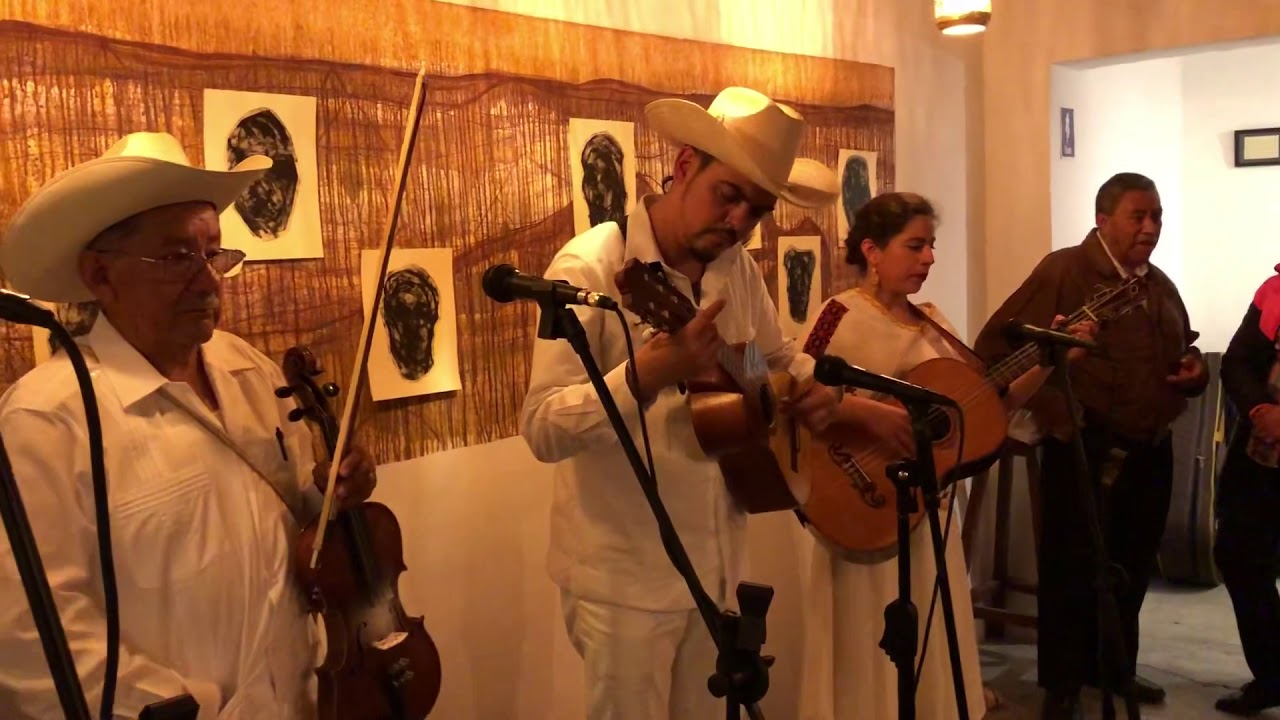 La rosa - Tlacuatzin Son Huasteco