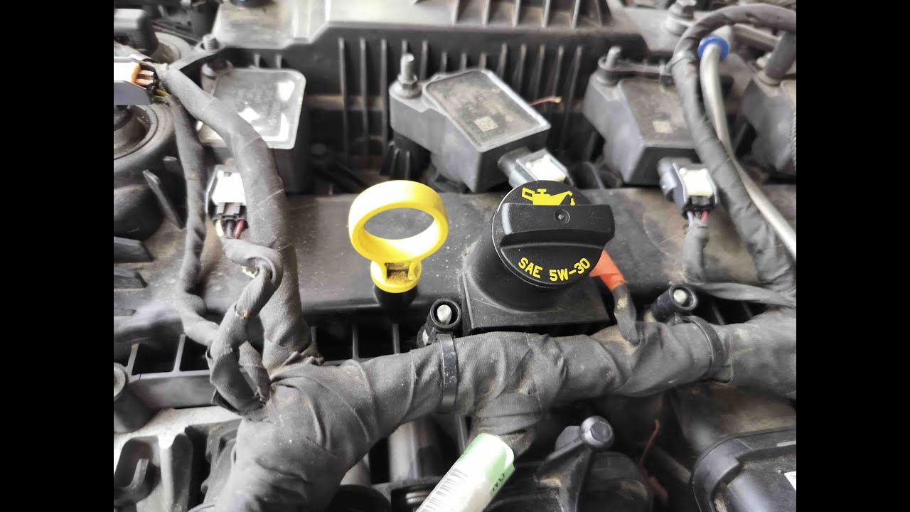 2019 Ford Ranger Oil/Filter change