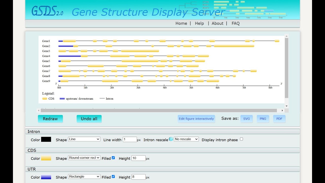 Gene structure display server | gene structure analysis by GSDS
