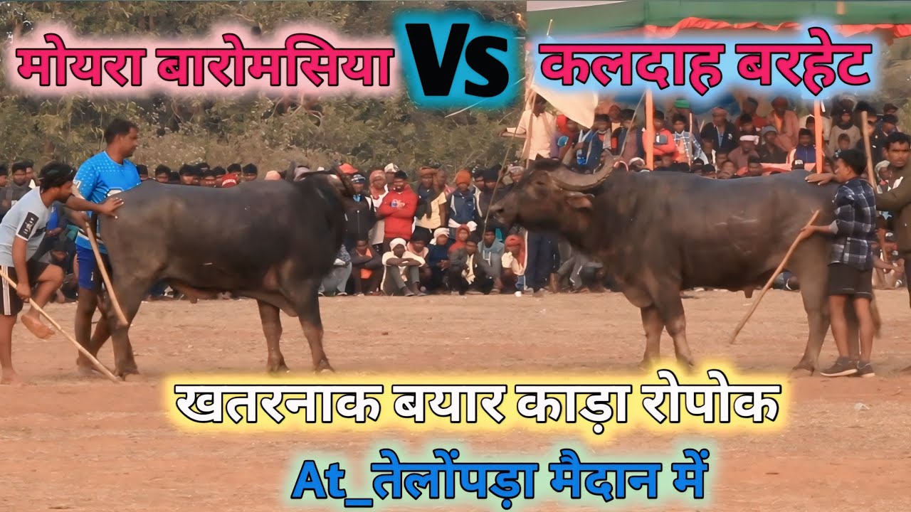 At_तेलोंपड़ा मैदान में #मोयरा बारोमसिया 🆚 कलदाह बरहेट // खतरनाक बयार काड़ा रोपोक//2026