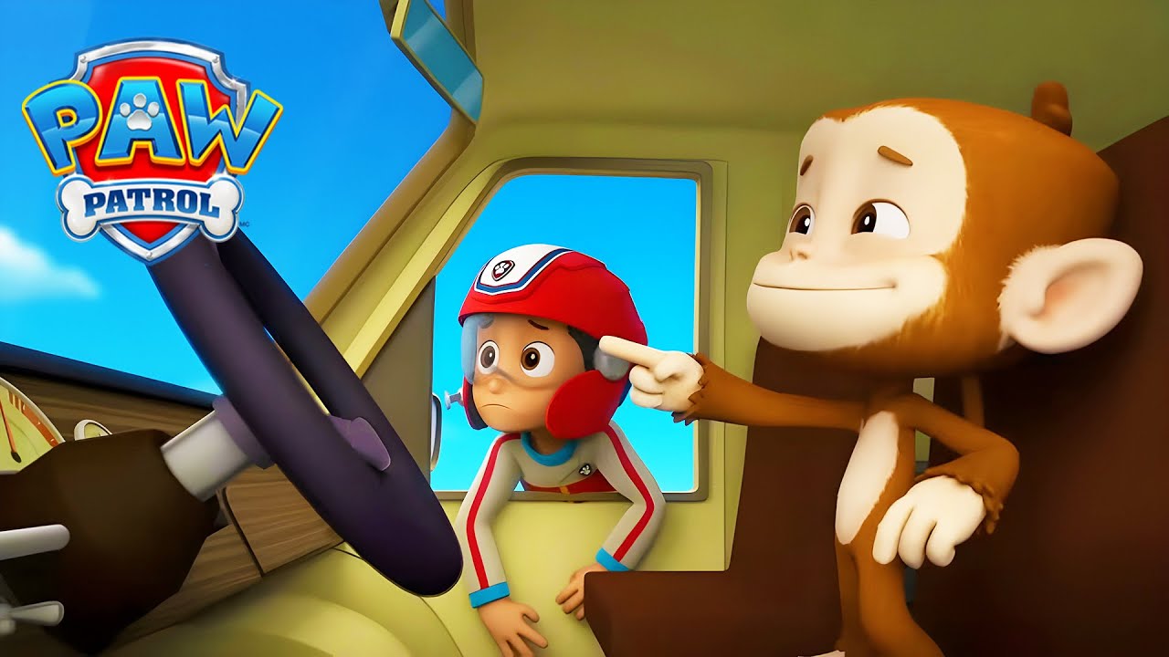 Monkey at the wheel! 🙈🚗 - PAW Patrol - Cartoons for Kids