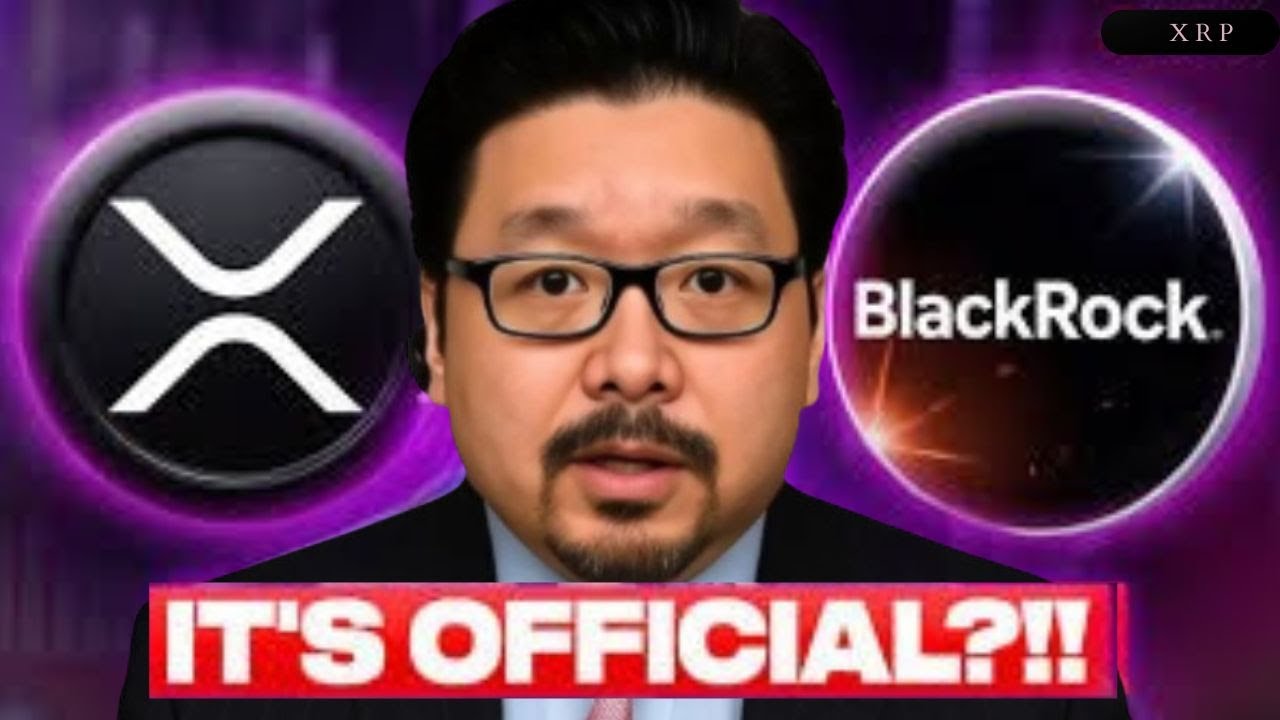 ОФИЦИАЛЬНО! Они значительно повысят цену XRP (шок предложения)