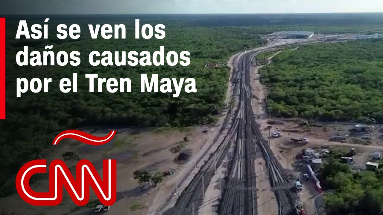 Estos son los daños que ha causado el Tren Maya, según ambientalistas