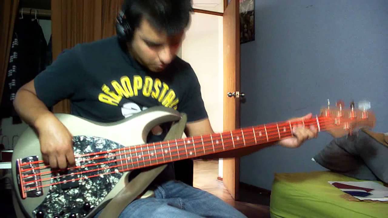INCUBUS - Summer Romance ( Bass Cover )