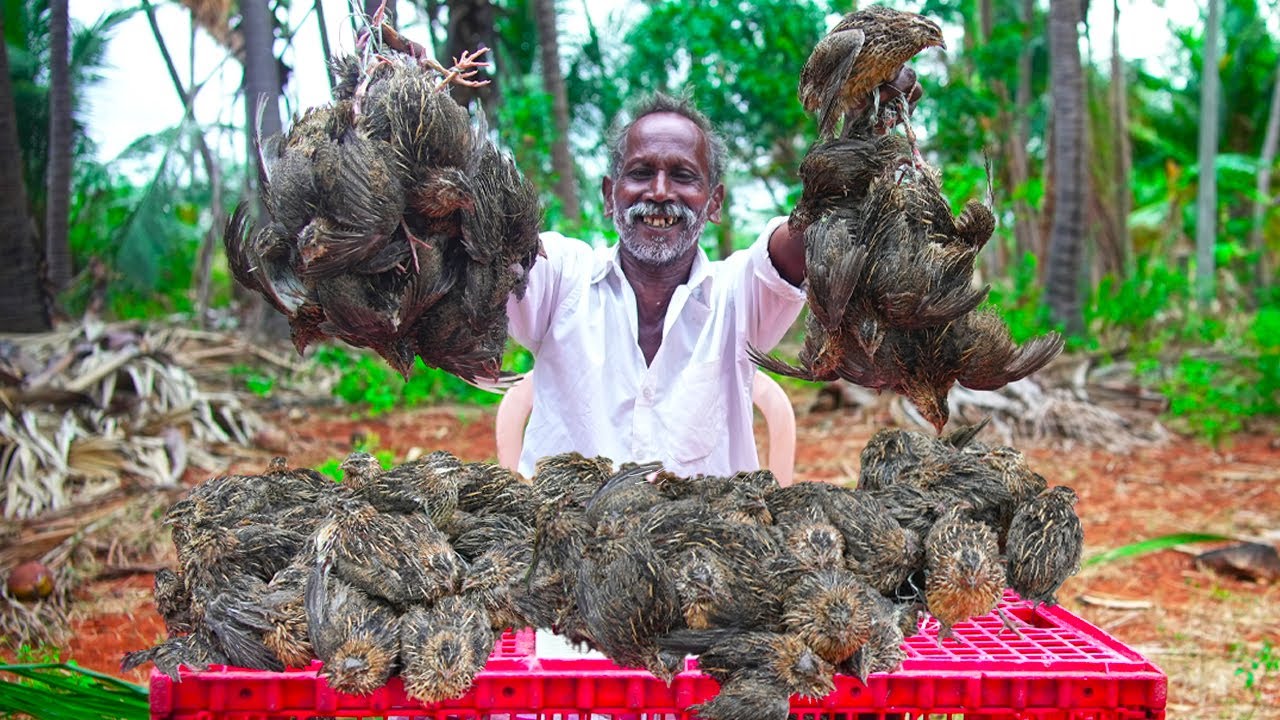 SPICY QUAIL FRY RECIPE | கிராமத்து காடை வறுவல் | Village Style Tasty Quail Fry | Village Grandpa