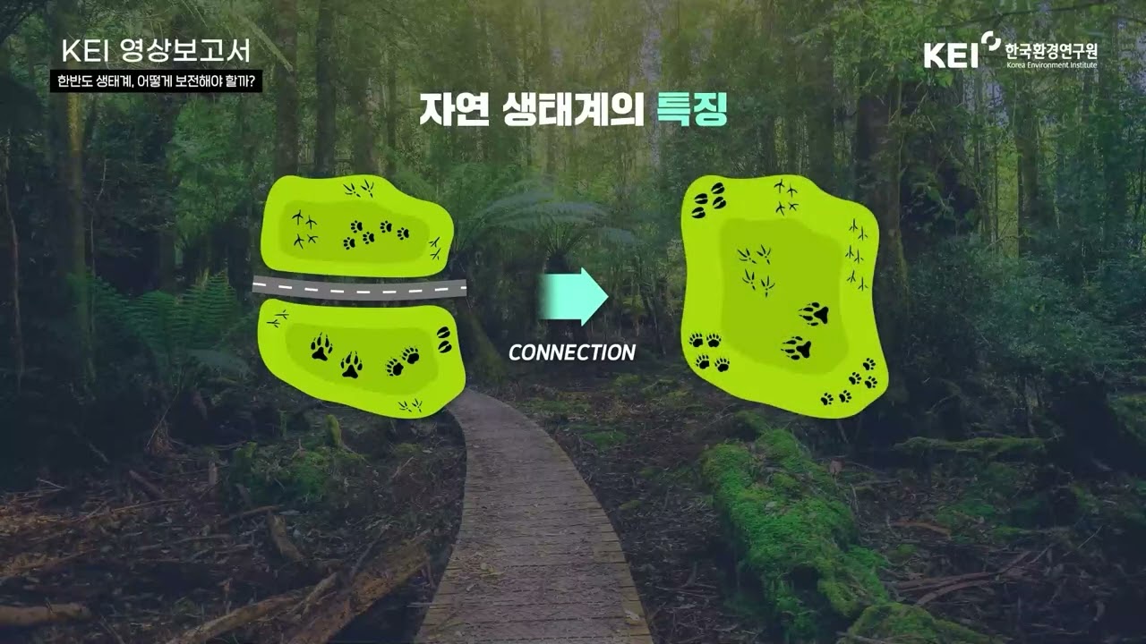 [한반도생태계] 한반도 생태계의 보전, 지속가능한 발전을 위해 나아가야 할 방향은?
