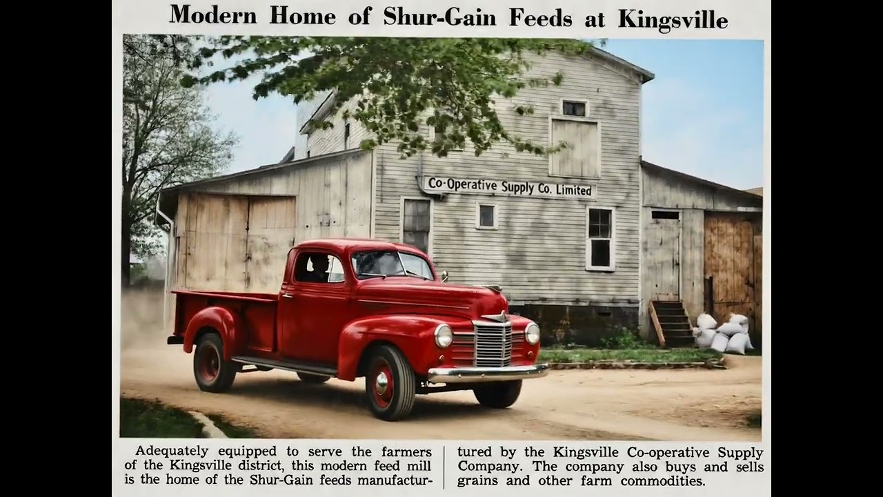 The Kingsville Feed Store for farmers circa 1945