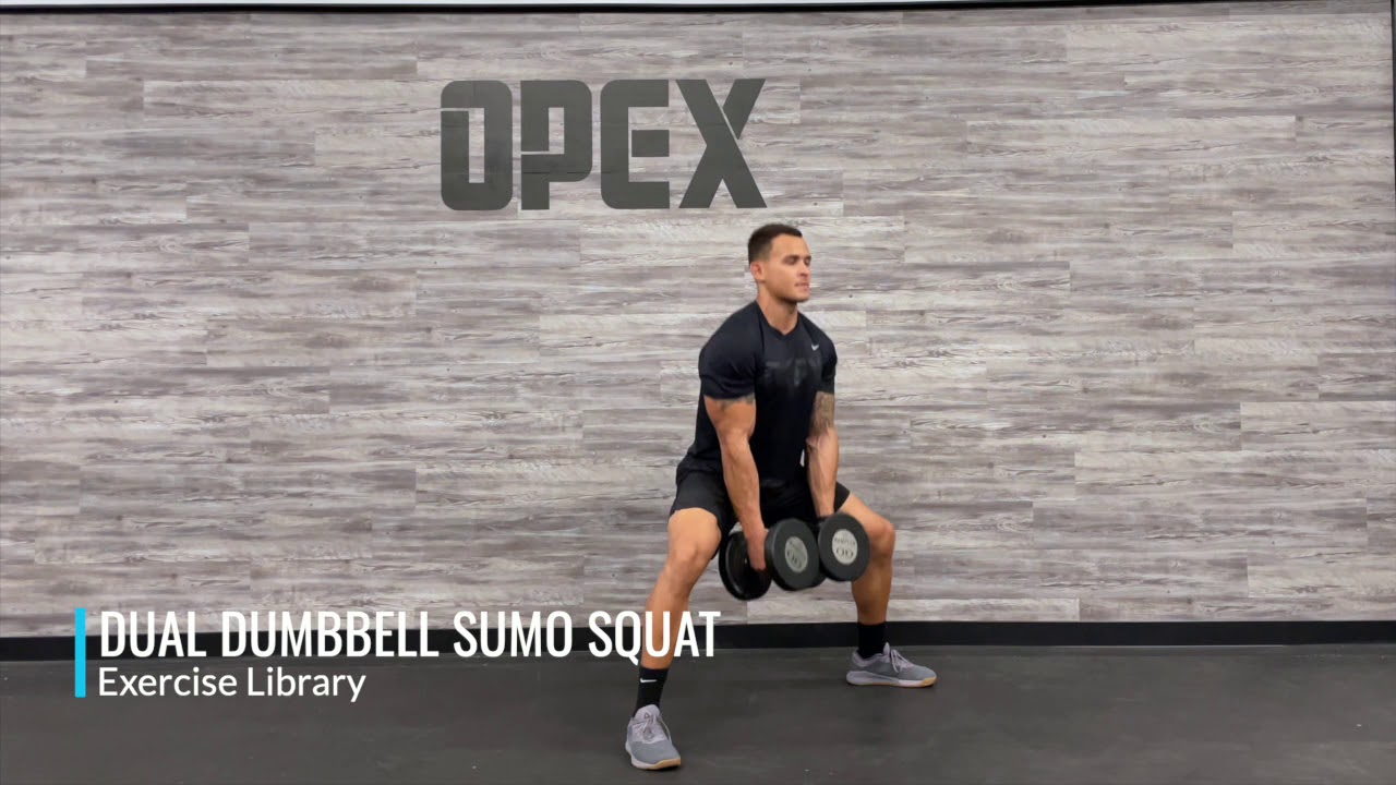 Dual Dumbbell Sumo Squat