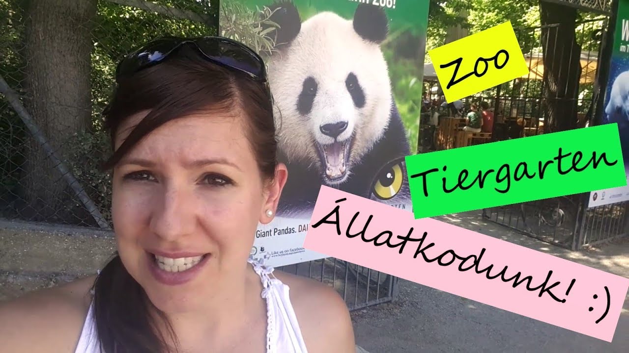 &Aacute;llatkodunk! :) /B&eacute;csi mindennapok VLOG 8
