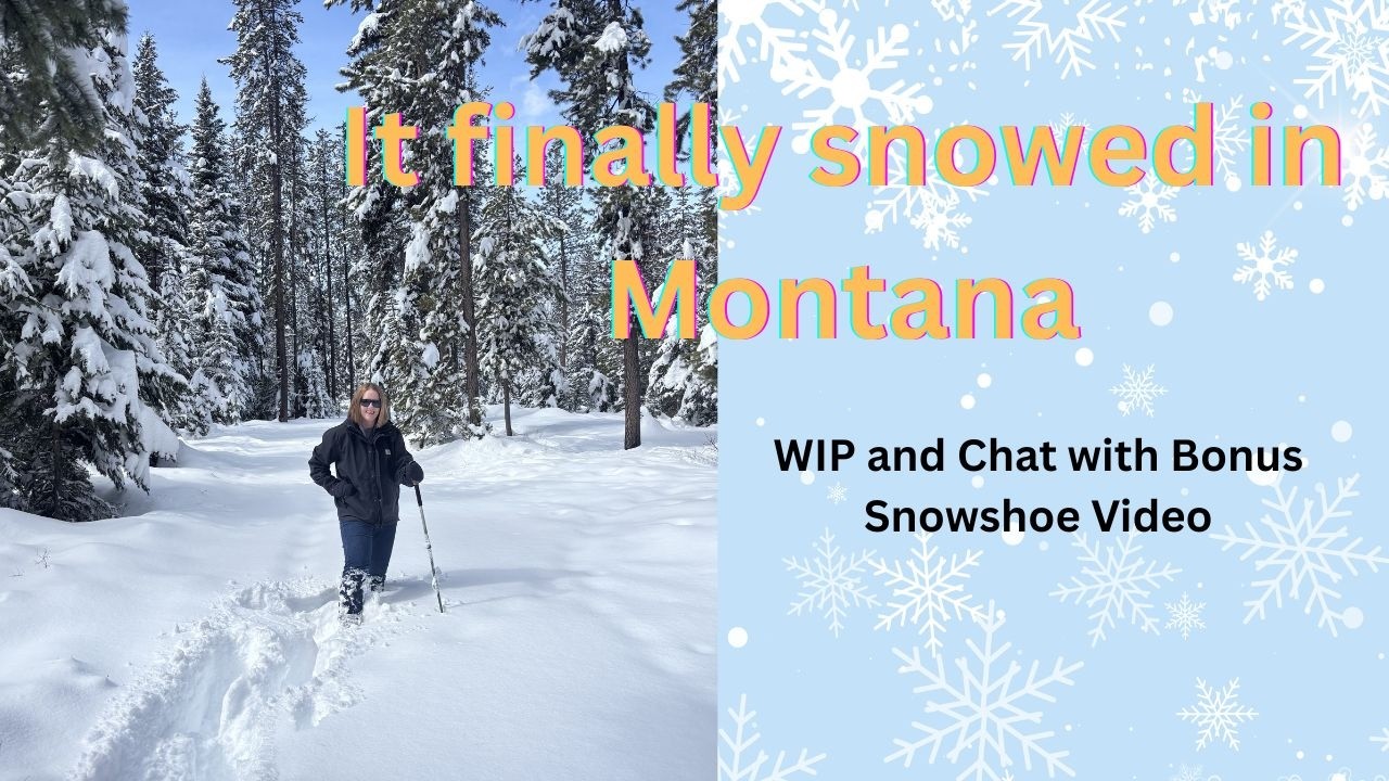 WIP and Chat.  Winter Storm and Snow Fun