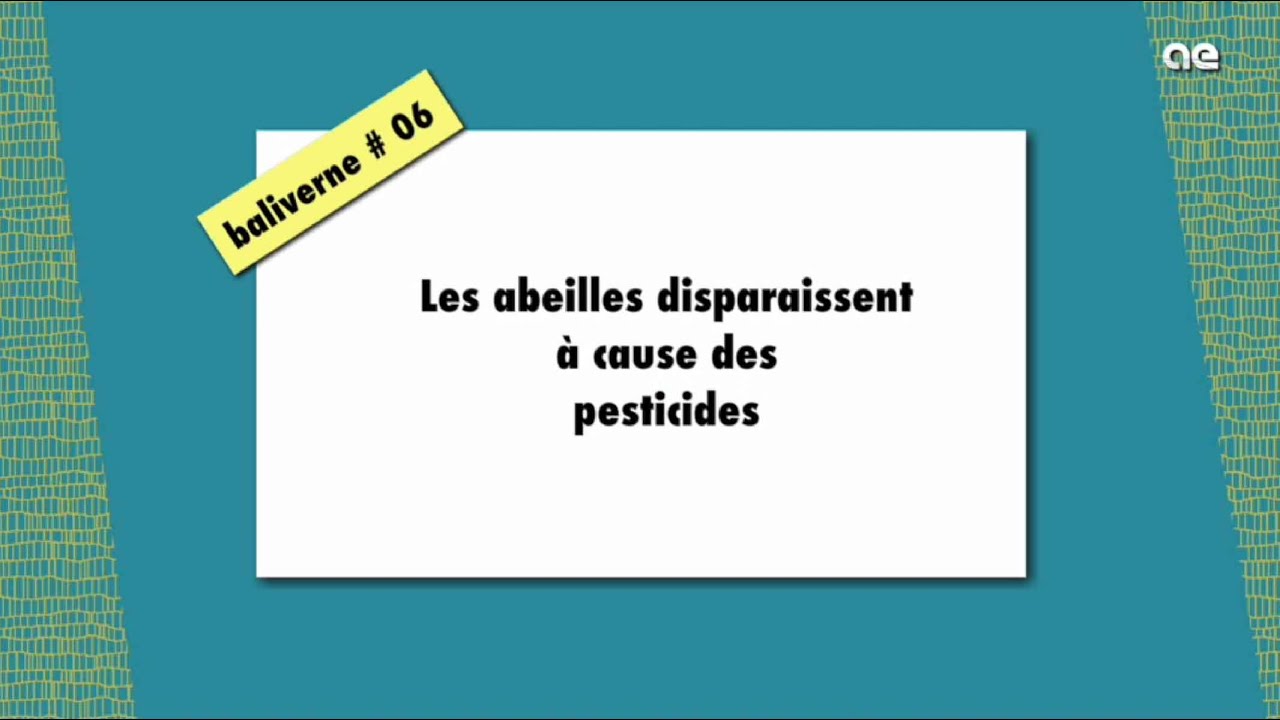 Les abeilles disparaissent à cause des pesticides / BALIVERNE #06