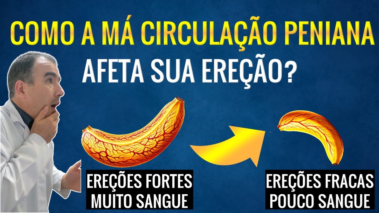 Como a m&aacute; circula&ccedil;&atilde;o peniana pode afetar diretamente a qualidade da suas ere&ccedil;&otilde;es?