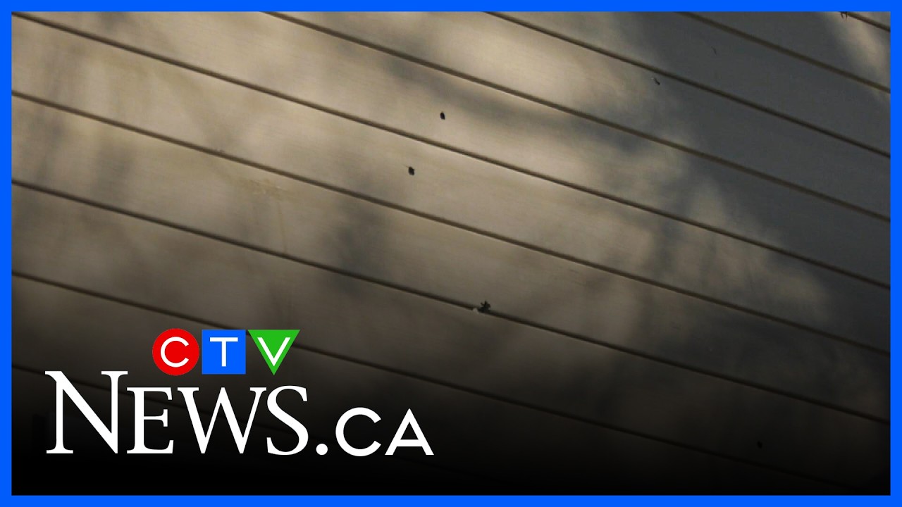 Shots fired at Moncton home