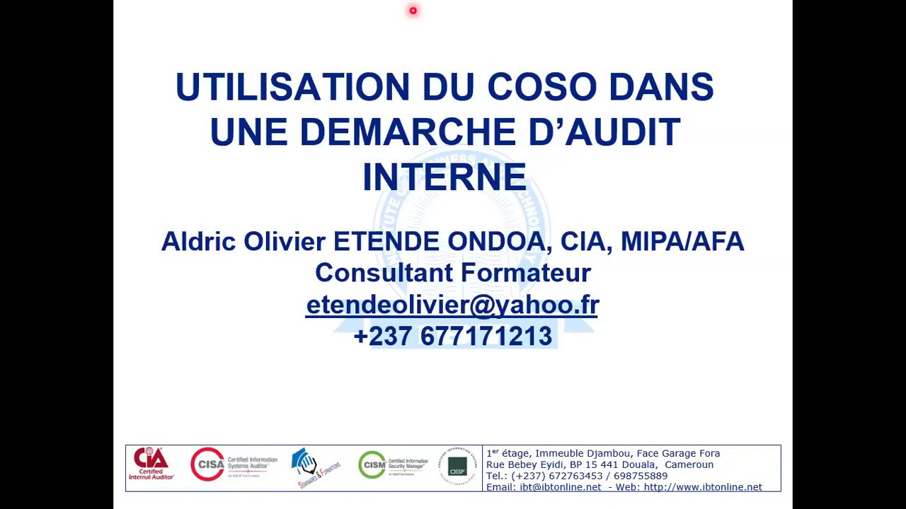 IBT Webinar - Utilisation du COSO dans une démarche d’audit interne