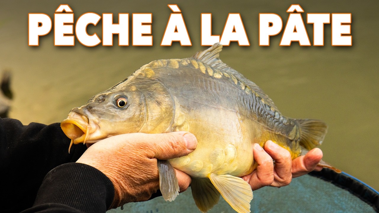 PÊCHE À LA PÂTE : on vous explique tout