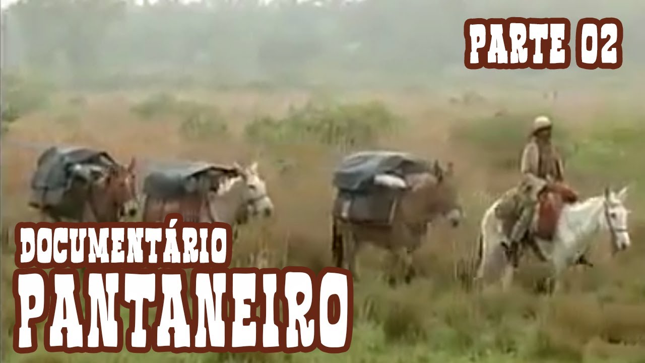 Documentário sobre a vida do Pantaneiro - Parte 02