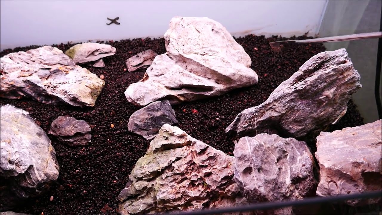Tuto Aquascaping Très Facile Pour Débutant vol1