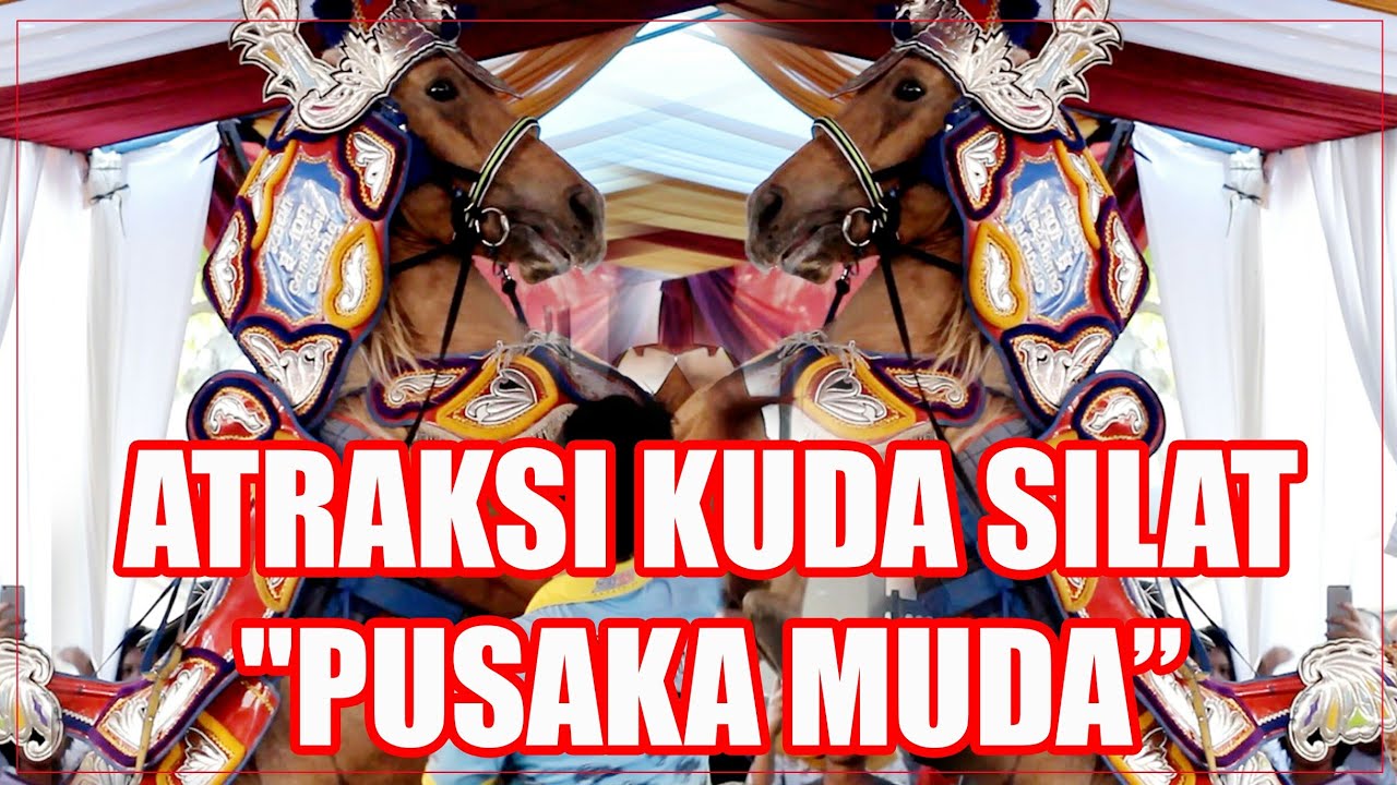 Atraksi kuda silat PUSAKA MUDA