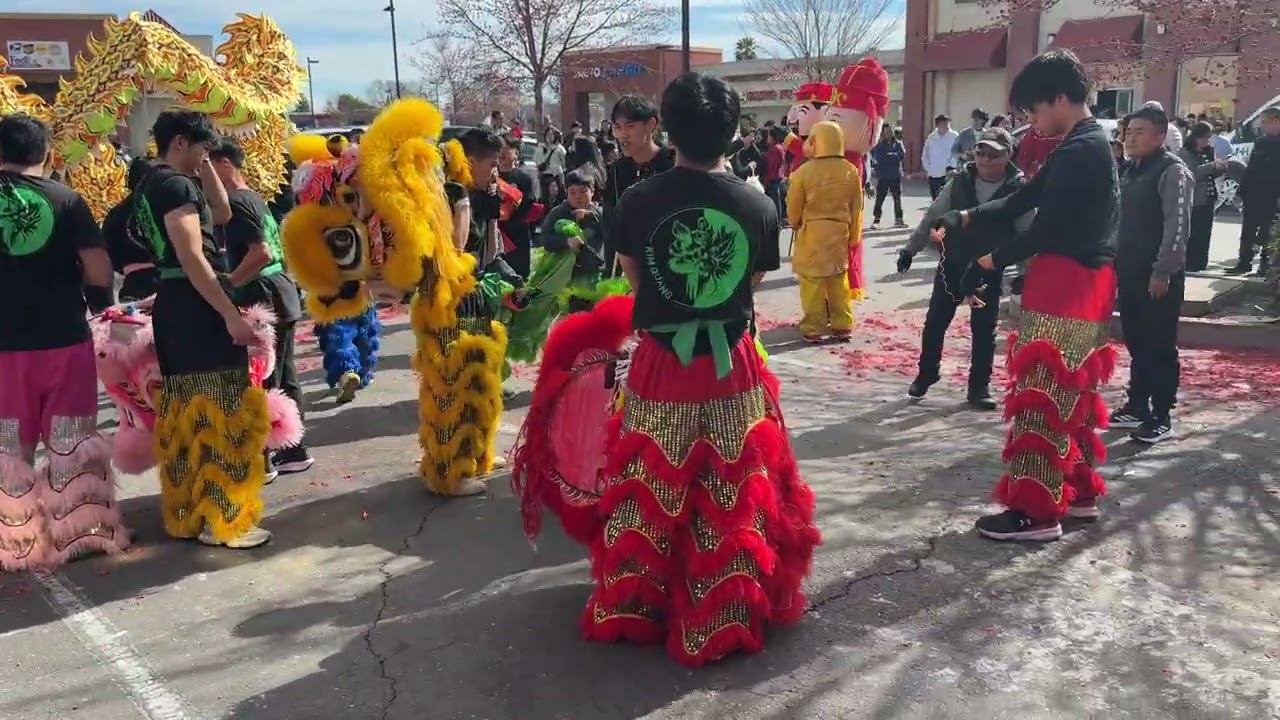 Lion dance and dragon dance going to the other side