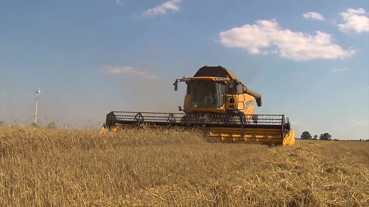 TraktorTV Folge 51 -  Ein New Holland CX 8090 im Winterroggen