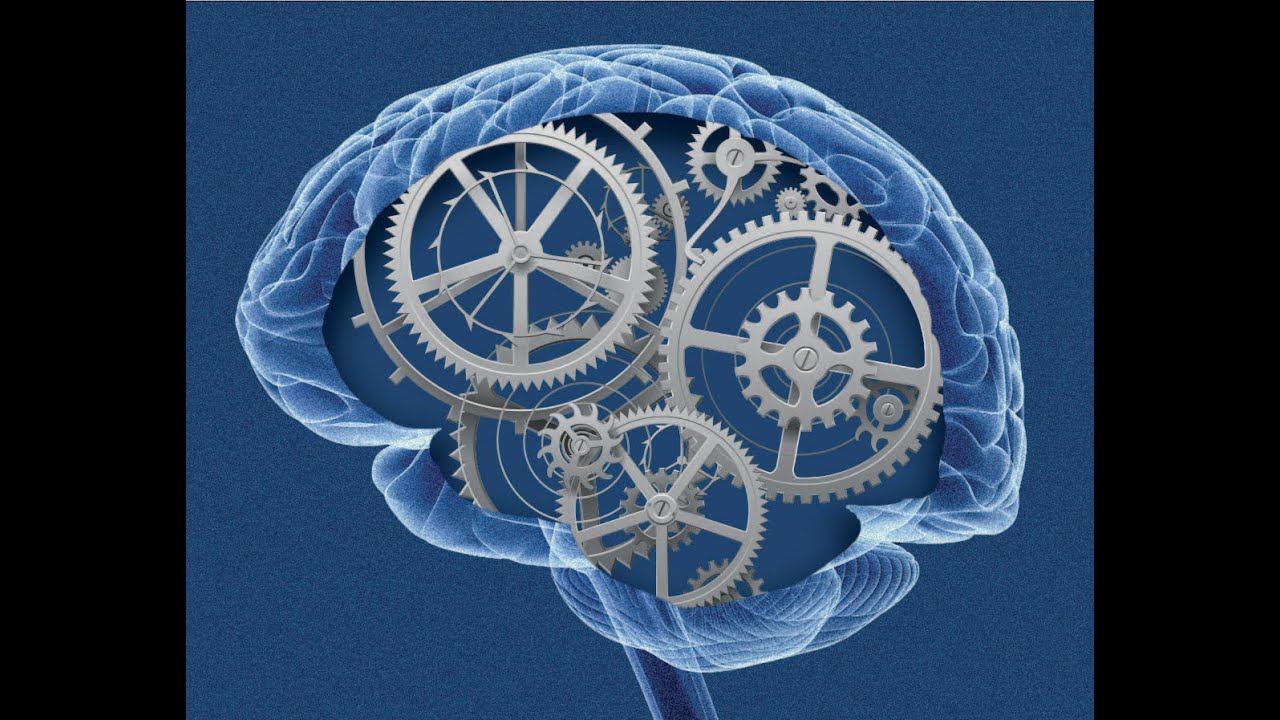 Stress post-traumatique : Nouvelles pistes pour comprendre la résilience au trauma