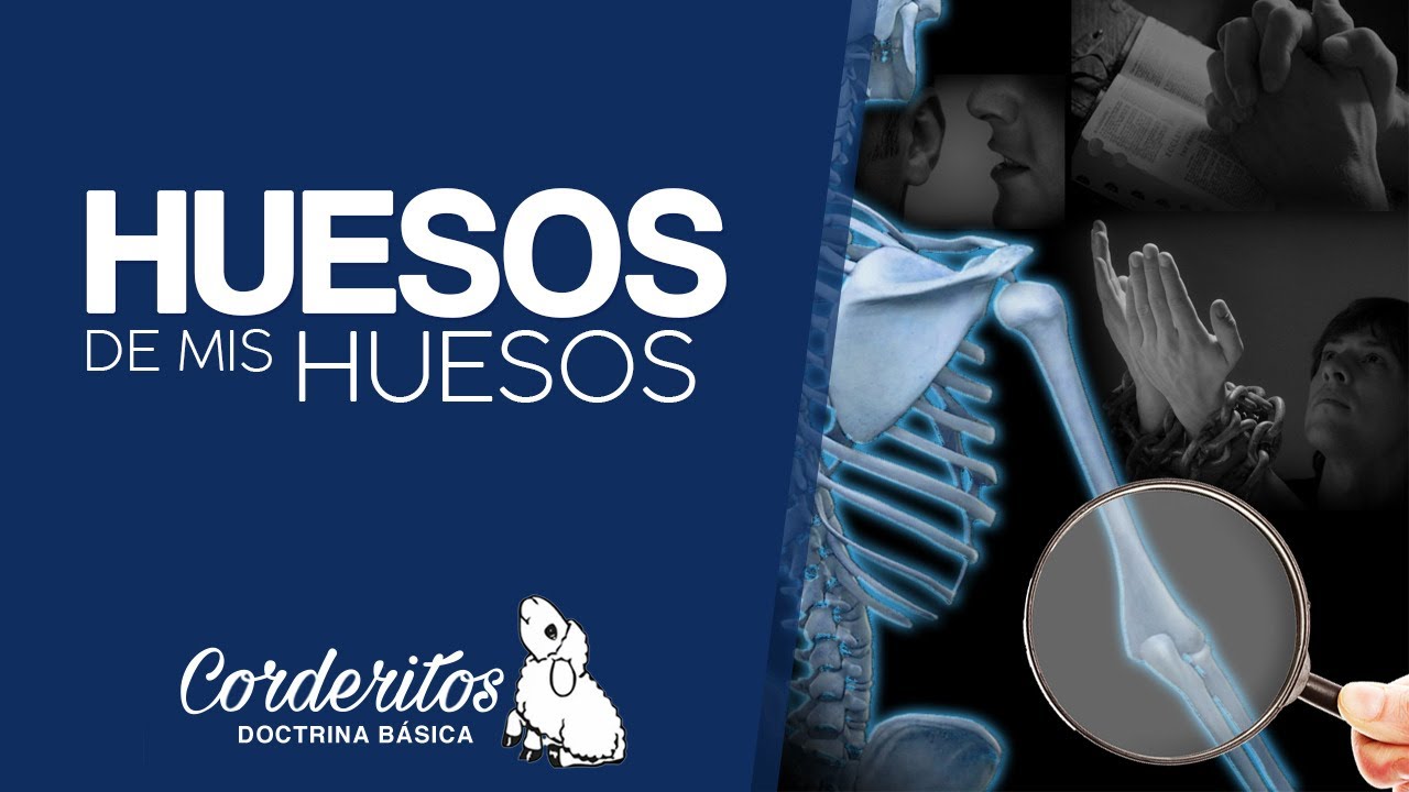 CORDERITOS : HUESO DE MIS HUESOS