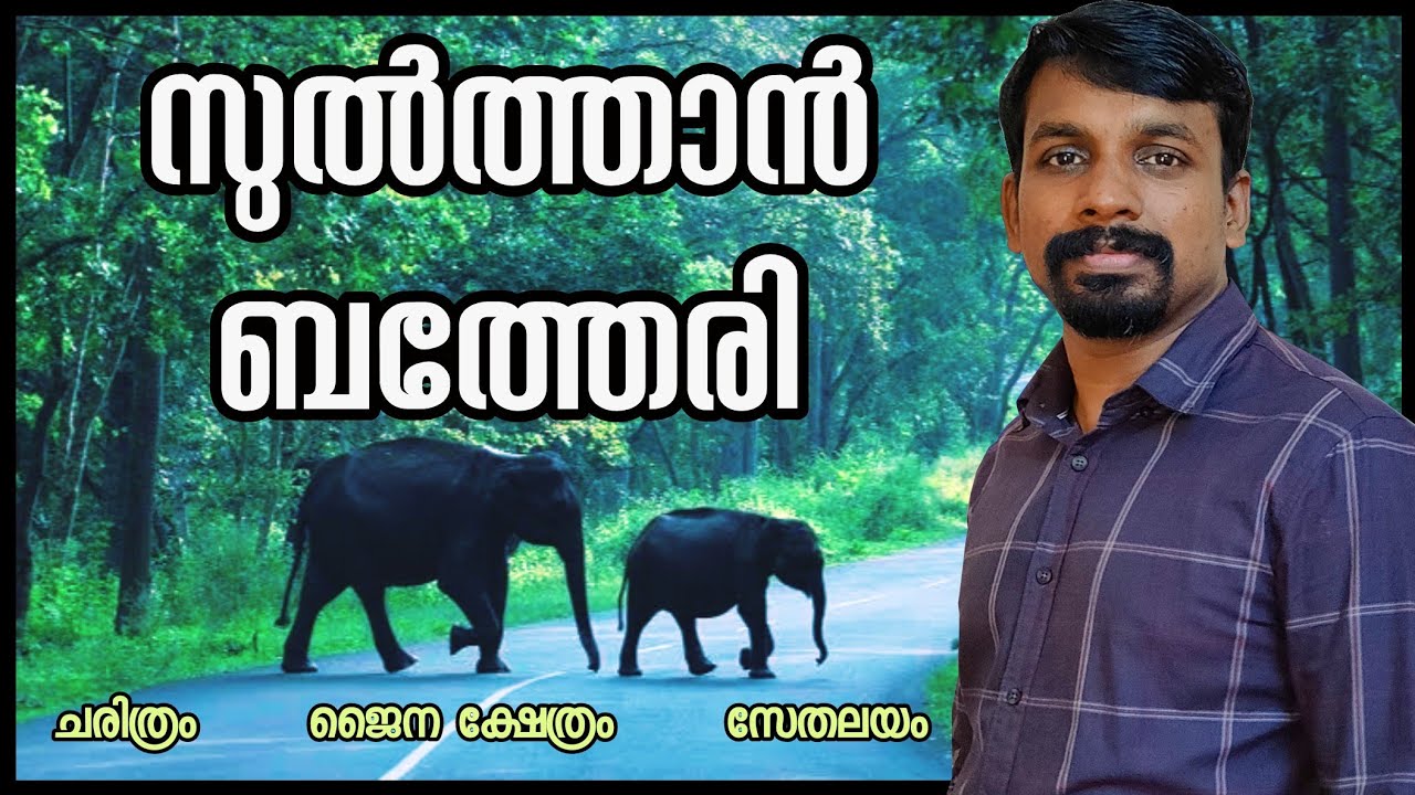 Sulthan Bathery Wayanad , Jain Temple, Edackal Caves And Sethalayam Waterfalls