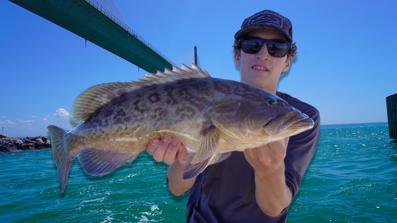 Florida's Best Inshore Grouper Fishing Tampa Bay!