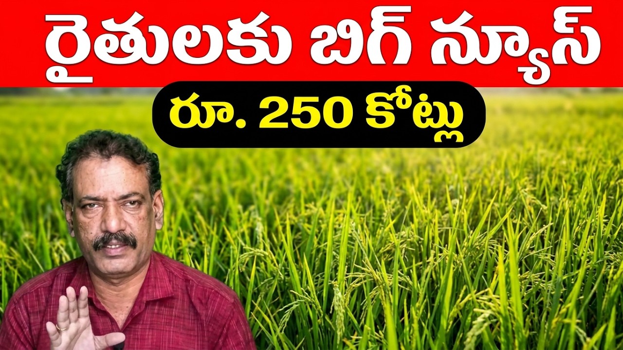 రైతులు తప్పని సరిగా చేయండి || BIG News to Farmers || Amazing Agriculture Tech Video Telugu