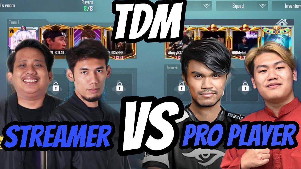 TDM Streamer Vs Pro Player