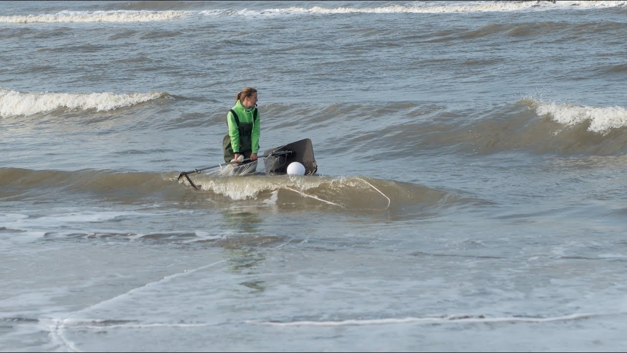 garnalen trekken noordwijk
