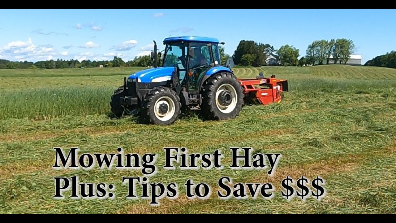 Mowing First Hay: Tips to Keep Mower Working
