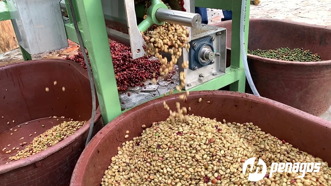 UDC 7500 Bourbon Pulping and Sorting Unit