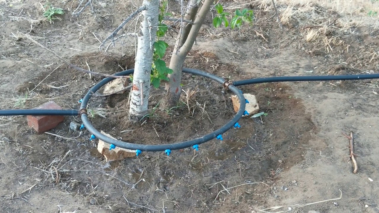 diy drip ring - prototype v.1