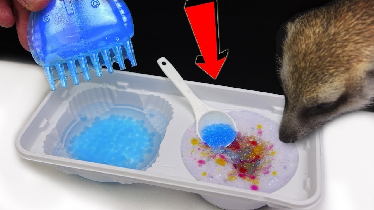 DIY - Japanische süße blaue KAVIAR aus PULVER selber machen. Timon probiert Harry Potter Schokolade.