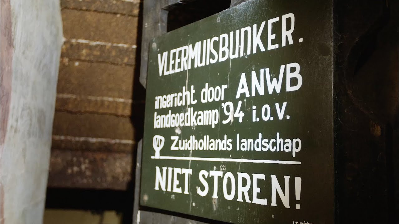 Bunkervlog #3 Bunkers & Natuur