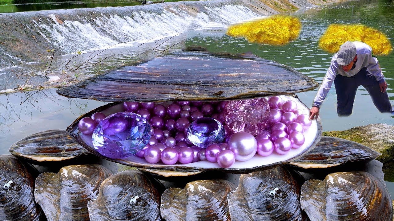 The boy opens a giant tuber and harvests countless beautiful pink and gold pearls.