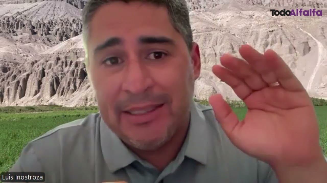 Chile trabaja para potenciar la producción de alfalfa de calidad