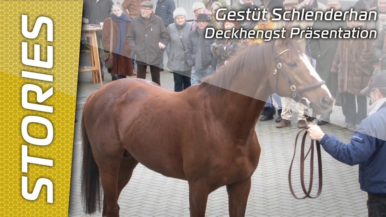 Gestüt Schlenderhan - Präsentation Deckhengste