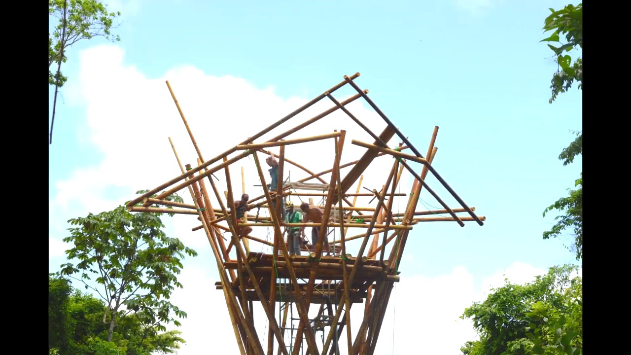 Bamboo Bird Observation Tower Time Lapse