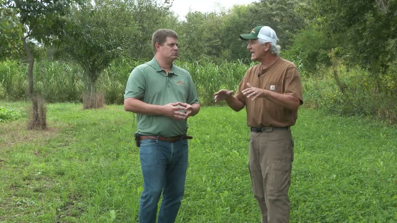 Building Your Deer Buffet