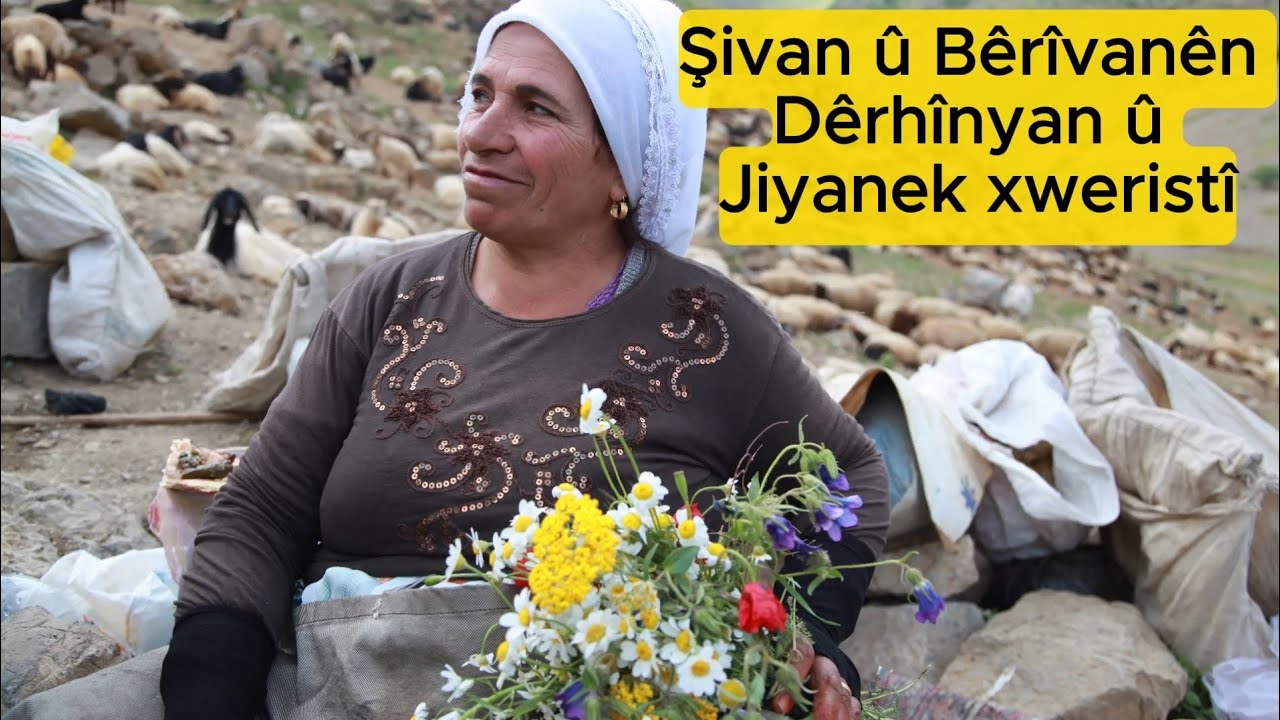 Bêrîvanî