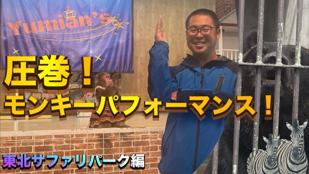 Yumian’sさんがwonder ZOOのモンキーパフォーマンスで大活躍🐒東北サファリパーク編　第二話［I was moved by the monkey's performance.］