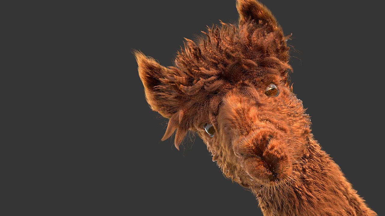 Alpaca made with Ornatrix 8 / 3ds max/ V-Ray