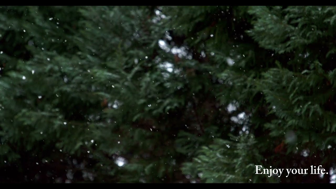 Whispers of Winter – Indie Folk Calm || Kışın Fısıltıları – Indie Folk Sakinliği