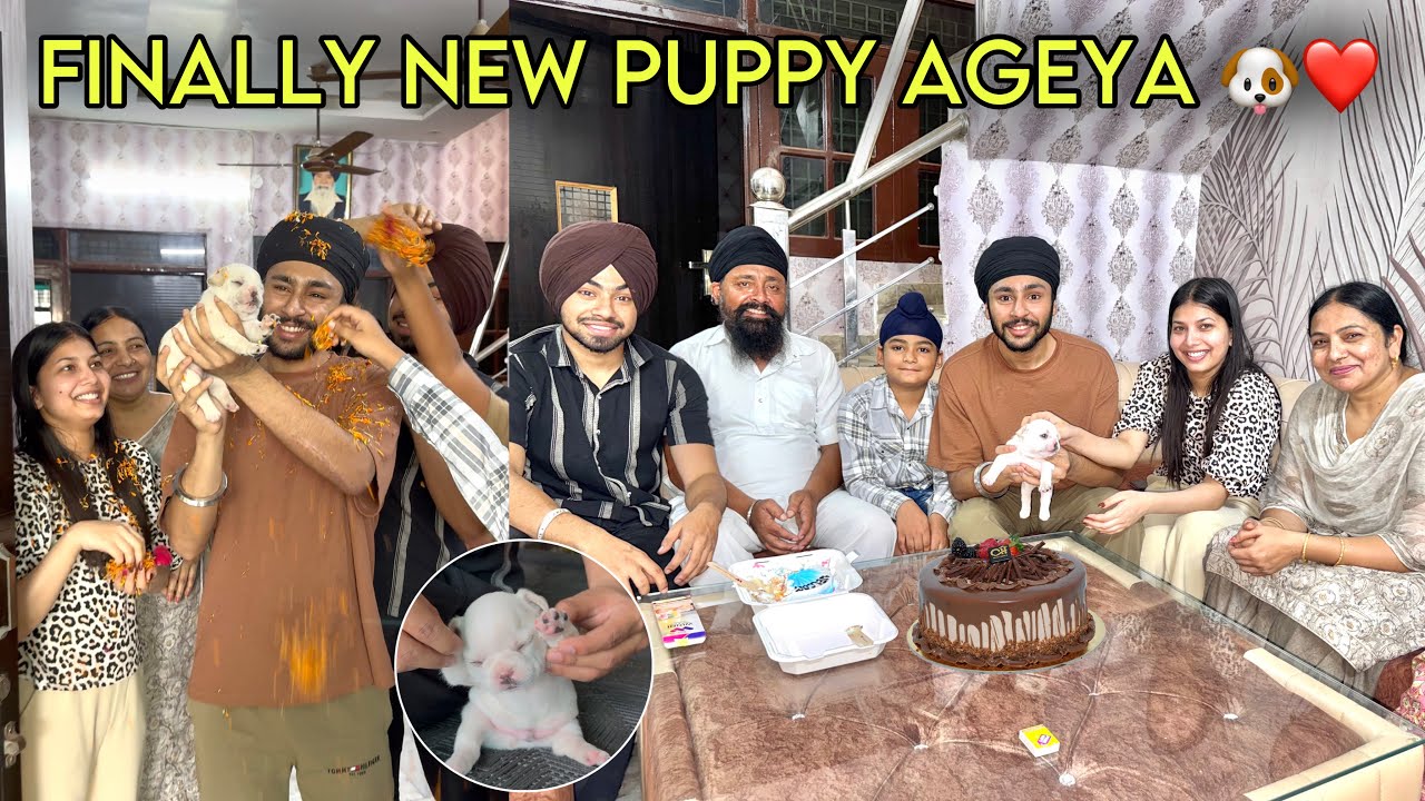 Finally new puppy ageya surprise for family and friends😍 - ਨਵਾ ਫੈਮਲੀ ਮੈਂਬਰ ਆਗਿਆ😍 - Being Brand