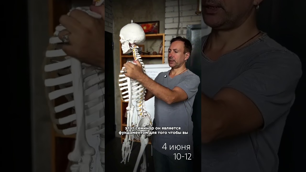 Биомеханика позвоночного столба #школайогадыхания #аштангавмоскве