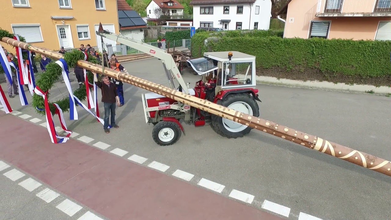 Maibaumaufstellen durch die freiwillige Feuerwehr in Scheppach 2016