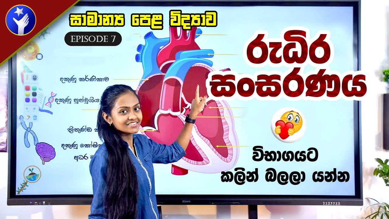 රුධිර සංසරණ පද්ධතිය 😍❤️ Rudira Sansarana Paddathiya | Grade 10 & Grade 11 Science in Sinhala PassMe